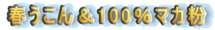 �t������100���}�J��